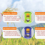 Foundigy: Where Founders Get Found