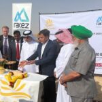 The Talent Agency That’s Helping Influencers Earn More, Faster