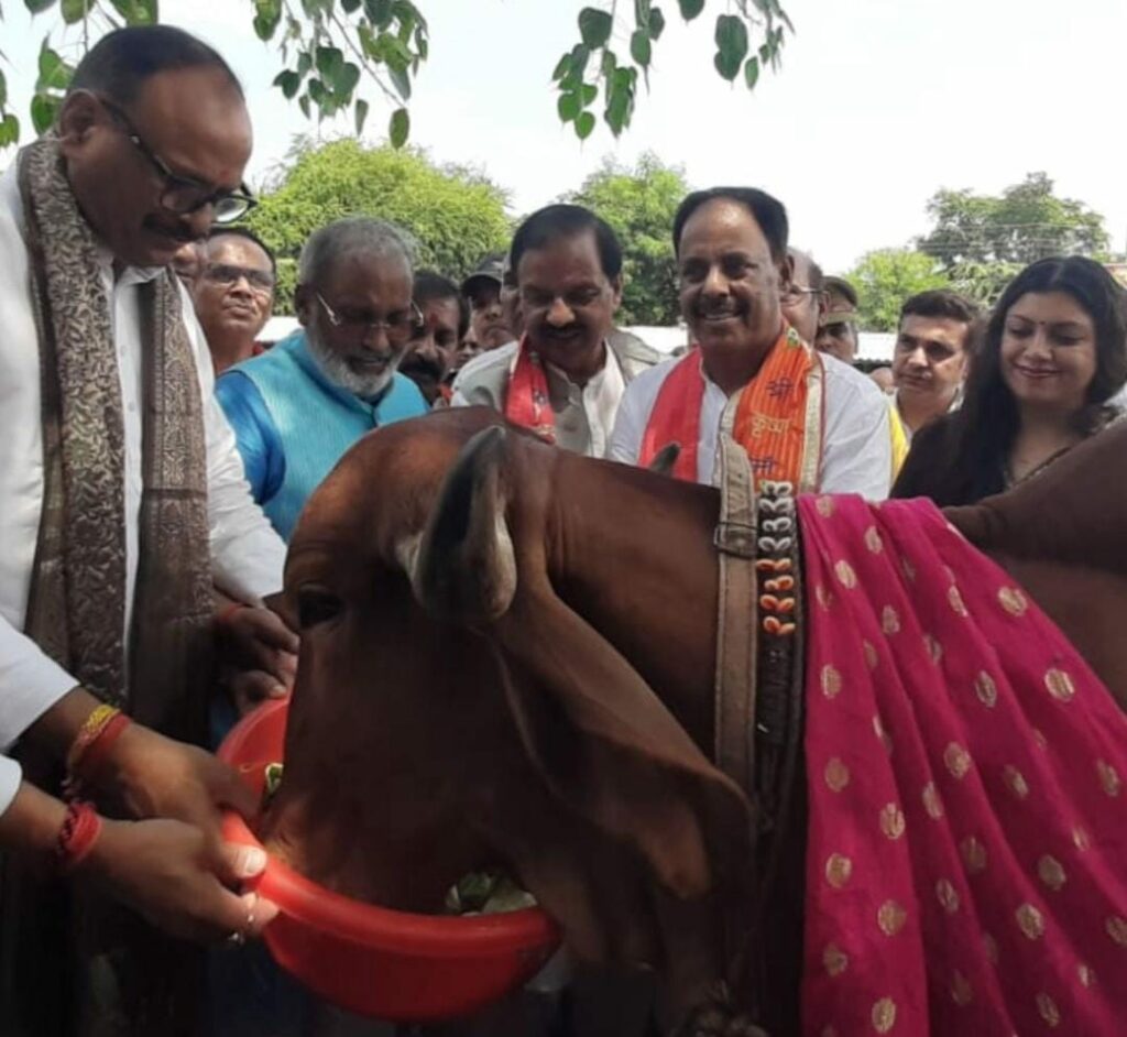 UP Deputy CM Brajesh Pathak Inspects Noida Sector-14 Cow Shelter