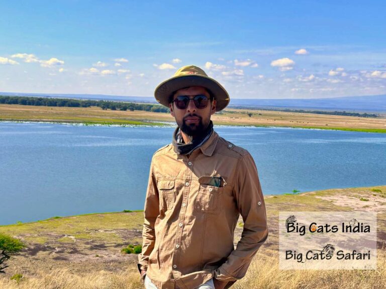From Himalayas to Savannah: My Journey Across the World’s Big Cat Kingdoms