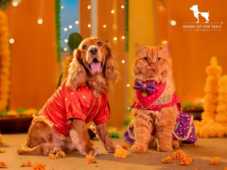 HUFT Launches ‘Dil Se Desi’ — A Festive Collection That Celebrates Pets as Family