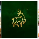 Perceptions Branding: Helping Small Businesses Build Stronger, Smarter Brands