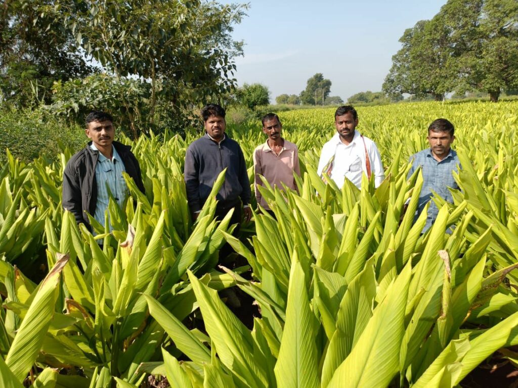 Transworld Furtichem’s New Research Reveals Severe Monsoon Impact; Company Launches Recovery Measures for Farmers and Dealers