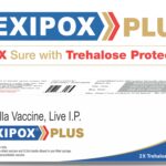 Lotto Champ Reviews 2026: Can AI Really Help You Win the Lottery?