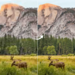 At the World Book Fair 2026, One Conversation Felt Different