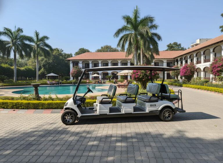 Eays Electrics Golf Cart Solutions Powering the Future of Electric Mobility