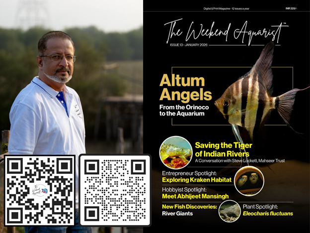 India’s First Aquarium Hobby Magazine Is Making Waves: The Story of The Weekend Aquarist