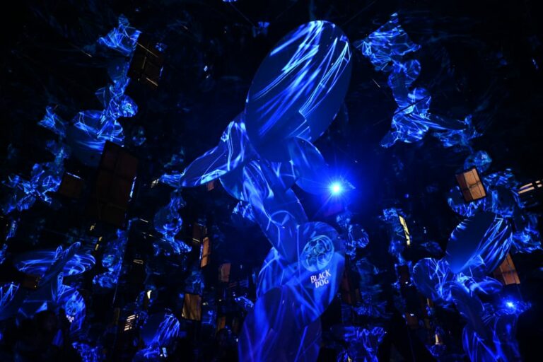 Savour the Pause: An Arctic Dream Lights Up Kala Ghoda