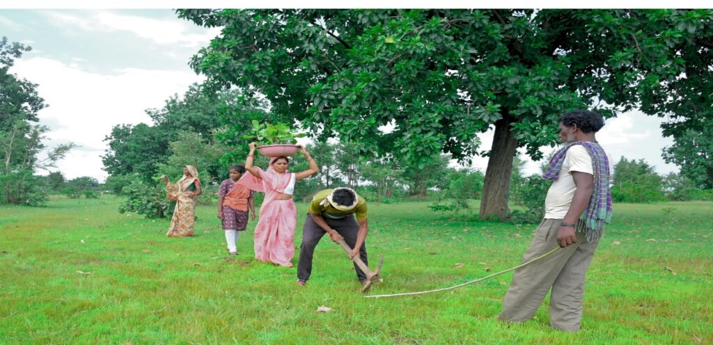 When Forests Become Livelihoods: A Restoration Model Emerging from India’s Tribal Heartland