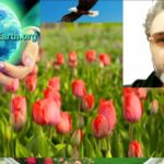 OrgOrbit Ignites India’s Service Economy: Own the Marketplace, Don’t Rent It