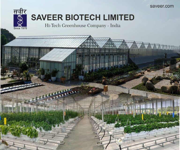 Saveer Biotech Limited: Netra Pal Sudan and Sanjay Sudan Driving India’s Intelligent Agritech Infrastructure Revolution
