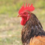 India’s expanding garment and apparel manufacturing ecosystem to come together at Gartex Texprocess India Mumbai