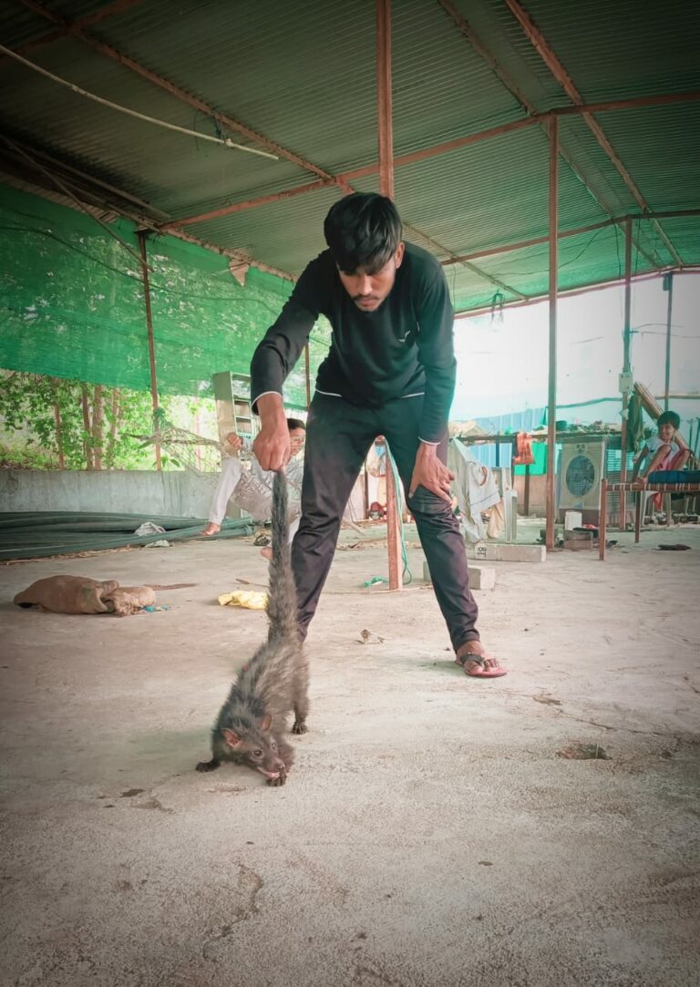 Maharashtra-Based NGO United Global Federation India (UGFI) Launches Pincode-Based Animal Emergency Response Network, Saves 1000+ Animals