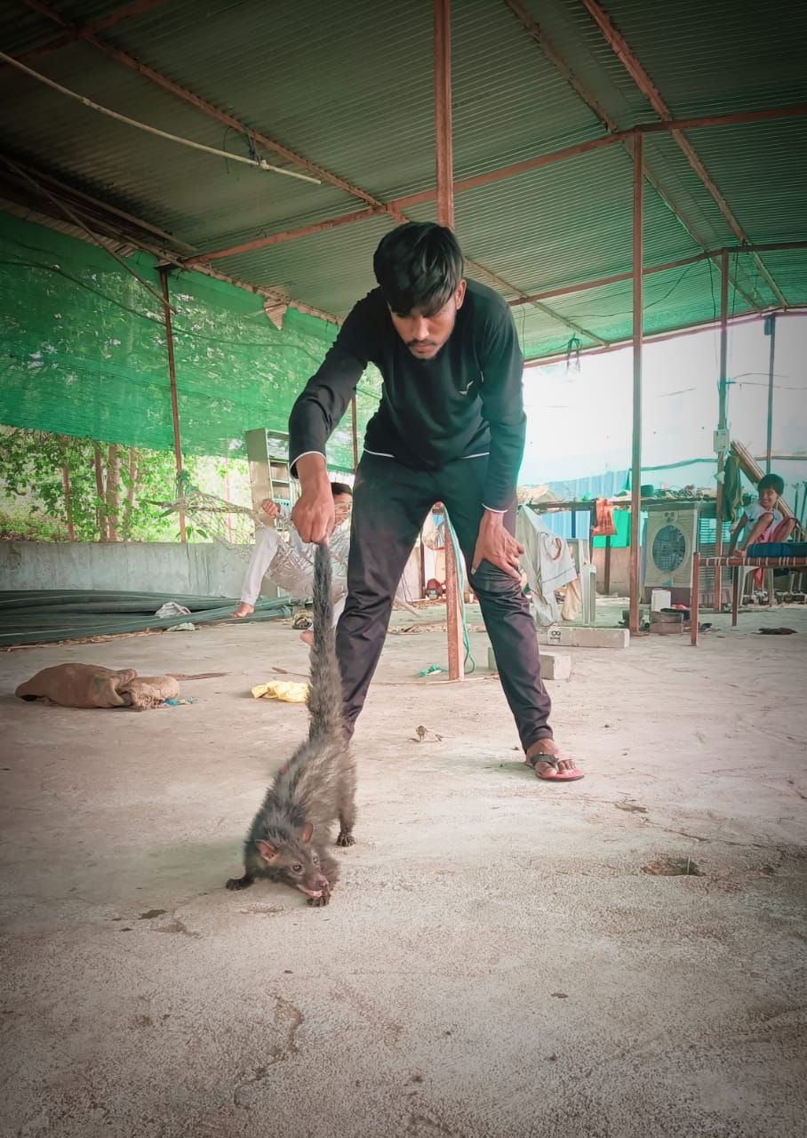 Maharashtra-Based NGO United Global Federation India (UGFI) Launches Pincode-Based Animal Emergency Response Network, Saves 1000+ Animals