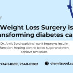 Phoenix Fly A Way: Transforming Global Dreams into Reality with Unmatched Visa Success