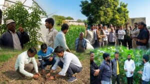 25,000+ Farmers, 84,000+ Farming Interventions: How GNFC is Shaping the Future of Agriculture in Gujarat