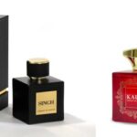 How Does Drivn Approach EV Fleet Financing?