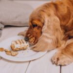 How Niche Categories Like Bride-to-Be Cakes Are Driving Growth in the Cake Industry