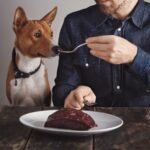 From Mehendi to Bachelor Nights: The New Celebration Economy Around Weddings