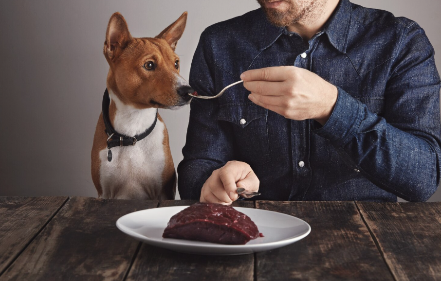 Behind the Cake: What Goes Into a Pet-Safe Dessert?