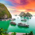 ICALO INSTITUTE – Shaping the Future of Advanced Aesthetic Education in India and Beyond