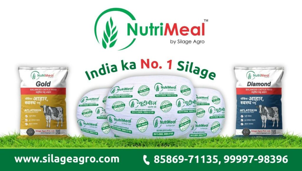Silage Agro Private Limited and NutriMeal Transform Cattle Nutrition in India with a Scalable Farm to Feed Vision