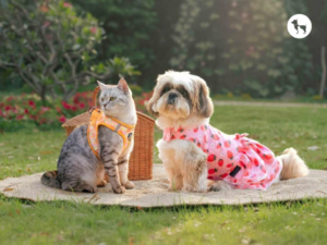 HUFT’s New Summer ‘26 Collection Turns Everyday Moments into Little Tales of Joy