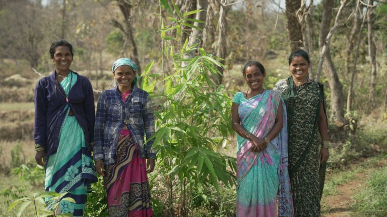Industree Foundation Secures India’s First FSC® Forest Management Certification for Smallholder Bamboo Farmers, Opening Doors to Global Markets