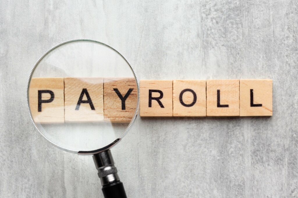 Top HRMS and Payroll Software Solutions for Scalable Enterprise Operations