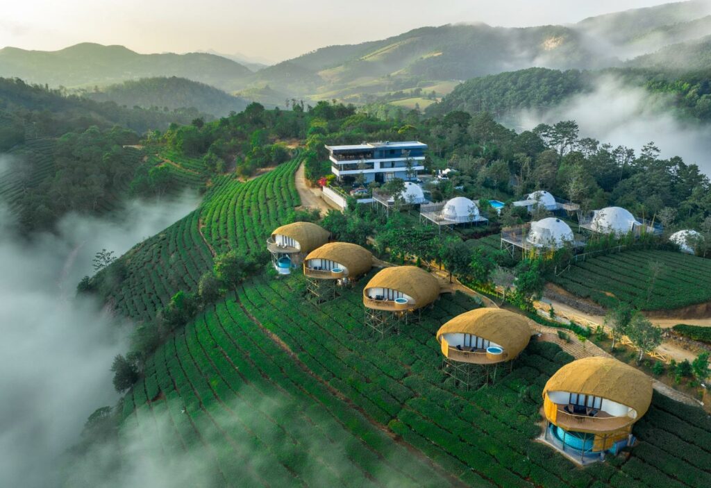Monticle Glamps- Vagamon’s Top Resort Earns highest Guest Ratings as Kerala’s Premier Luxury Glamping Destination
