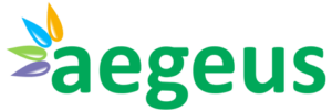 Aegeus Technologies Limited Announces Opening of Initial Public Offering (IPO) on August 04, 2026