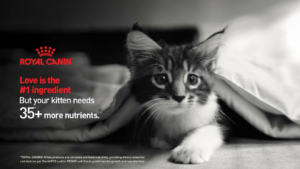 Royal Canin urges pet owners to look beyond home-cooked meals with the launch of their new brand campaign