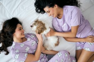 The Rise of Low-Effort Togetherness: Why Our Pets May Be the Best Teachers of Rest