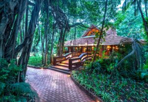 Lost Recipes: A Journey into Thailand’s Culinary Memory
