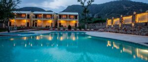 Sariska Emerges as a Fast-Growing Weekend and Second-Home Destination for Delhi-NCR