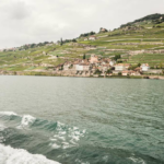 From University Selection to Arrival: Italy Study Consultants Helps Indian Students Plan Their Future in Italy
