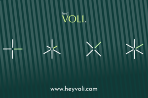HeyVoli Kicks Off $500K Pre-Seed to Launch AI-Powered Healthcare Infrastructure