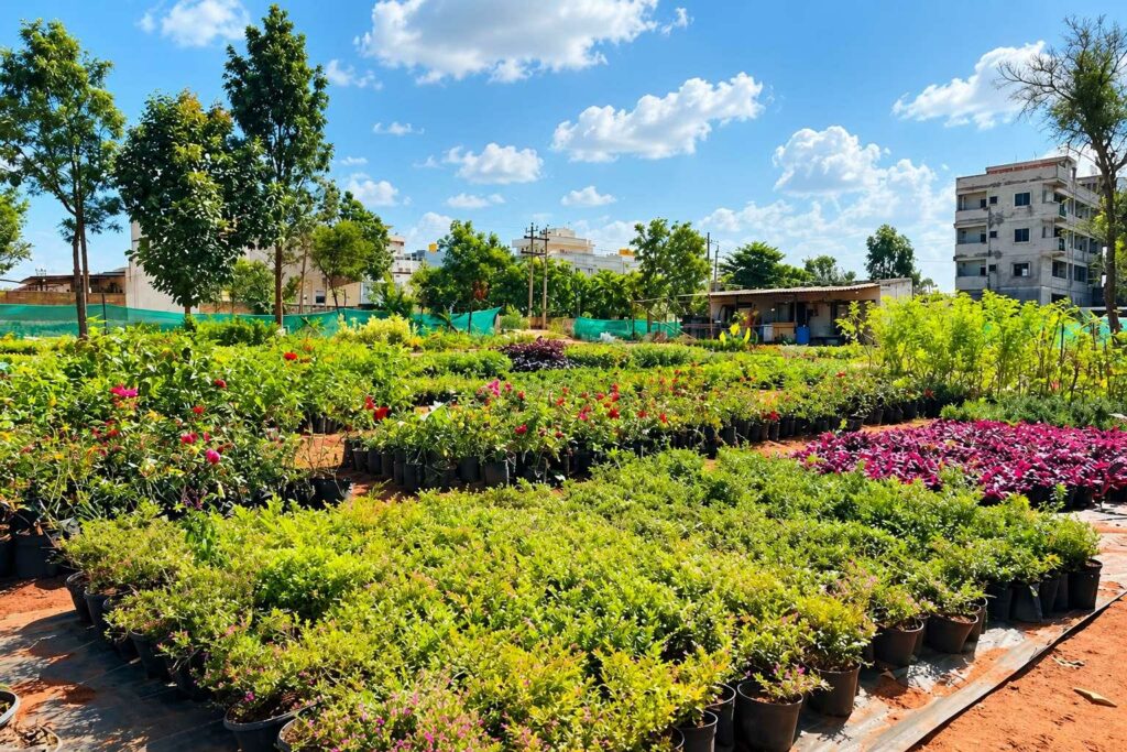 Urvann Goes Back to the Roots With Its Own Farms to Put Plant Quality and Customer Experience First