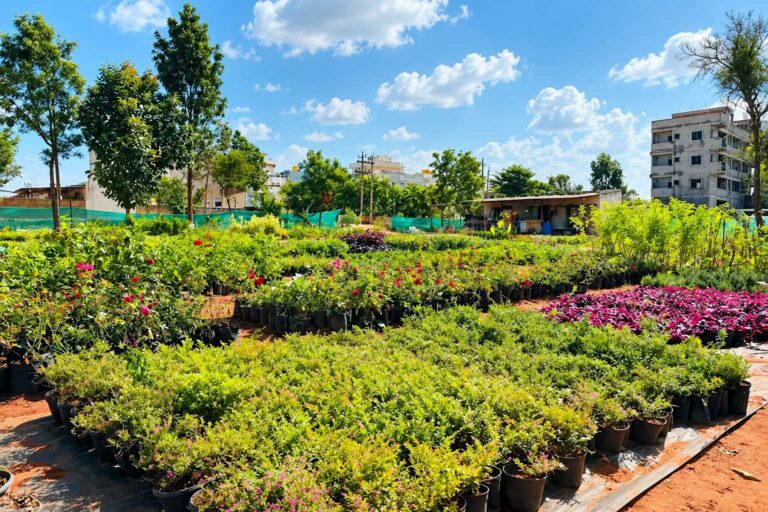 Urvann Goes Back to the Roots With Its Own Farms to Put Plant Quality and Customer Experience First